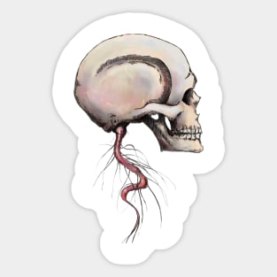 skull with spinal cord Sticker